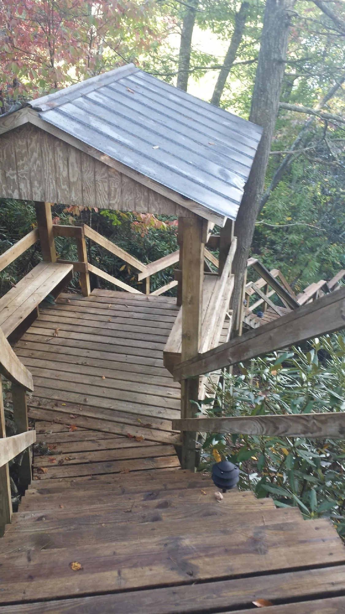 Metal roofed shelter over wooden steps on a wooded walkway — Skylight Repair & Installation work by our crew in Cobbtown